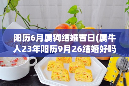 阳历6月属狗结婚吉日(属牛人23年阳历9月26结婚好吗)