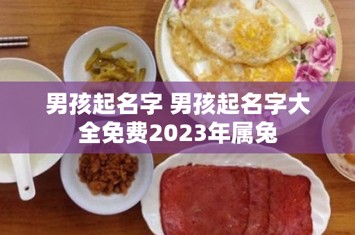 男孩起名字 男孩起名字大全免费2023年属兔