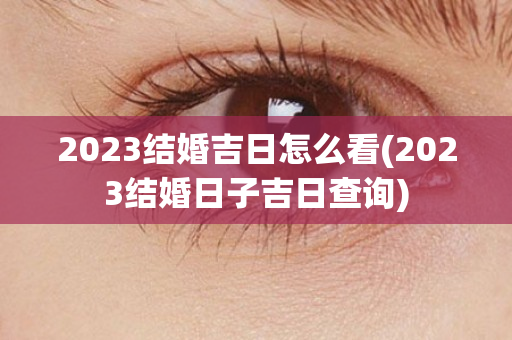 2023结婚吉日怎么看(2023结婚日子吉日查询)