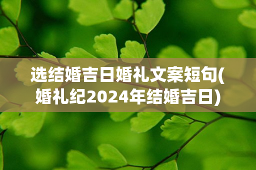 选结婚吉日婚礼文案短句(婚礼纪2024年结婚吉日)