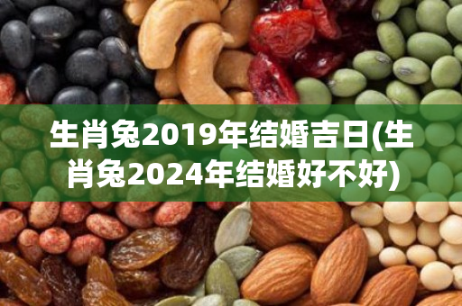 生肖兔2019年结婚吉日(生肖兔2024年结婚好不好)