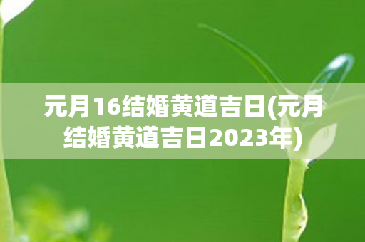 元月16结婚黄道吉日(元月结婚黄道吉日2023年)