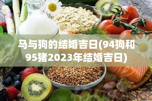 马与狗的结婚吉日(94狗和95猪2023年结婚吉日)