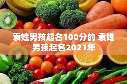 袁姓男孩起名100分的 袁姓男孩起名2021年