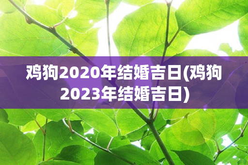 鸡狗2020年结婚吉日(鸡狗2023年结婚吉日)