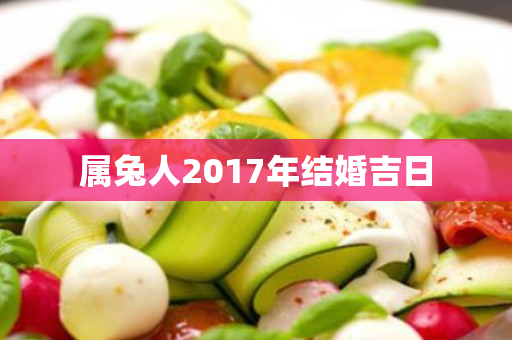 属兔人2017年结婚吉日