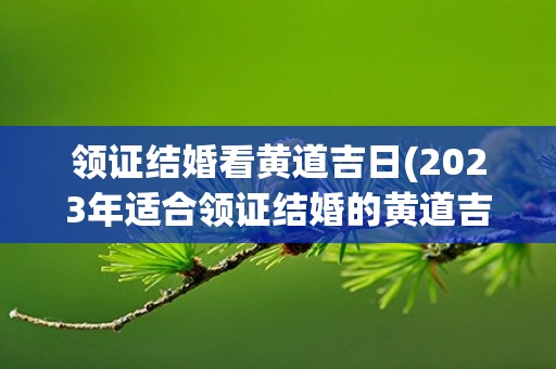 领证结婚看黄道吉日(2023年适合领证结婚的黄道吉日)