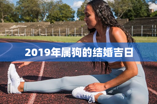 2019年属狗的结婚吉日