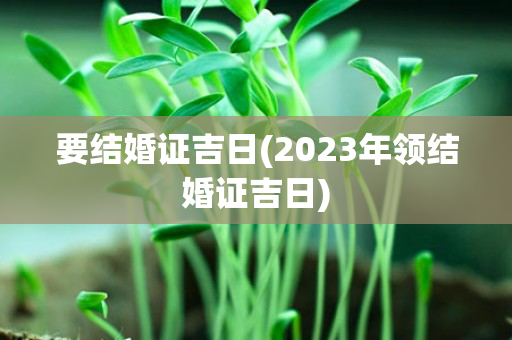 要结婚证吉日(2023年领结婚证吉日)