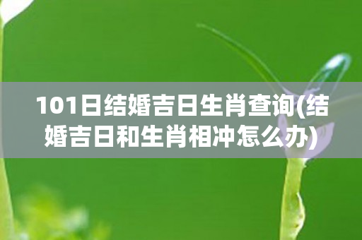 101日结婚吉日生肖查询(结婚吉日和生肖相冲怎么办)