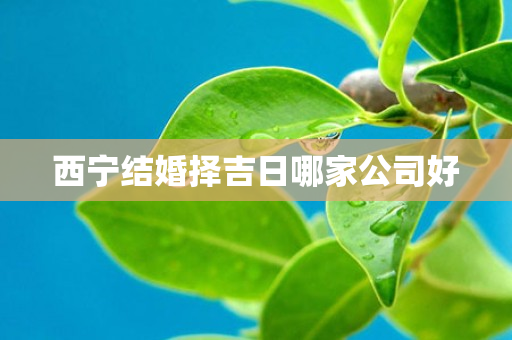 西宁结婚择吉日哪家公司好