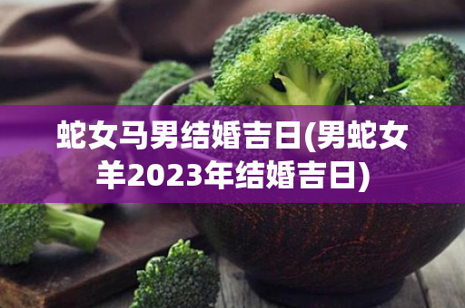 蛇女马男结婚吉日(男蛇女羊2023年结婚吉日)