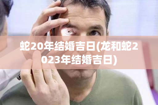 蛇20年结婚吉日(龙和蛇2023年结婚吉日)