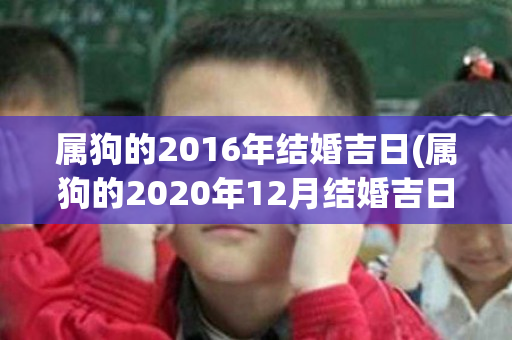 属狗的2016年结婚吉日(属狗的2020年12月结婚吉日一览表)