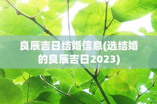 良辰吉日结婚信息(选结婚的良辰吉日2023)