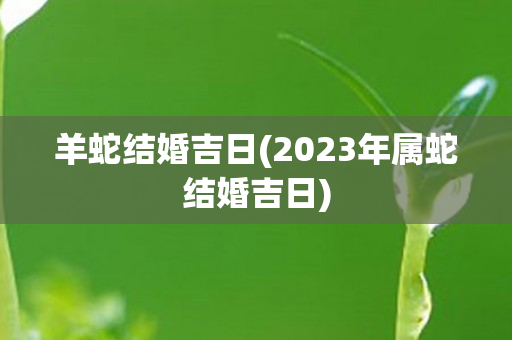 羊蛇结婚吉日(2023年属蛇结婚吉日)