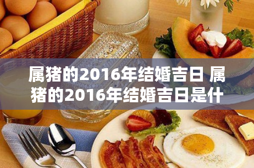 属猪的2016年结婚吉日 属猪的2016年结婚吉日是什么