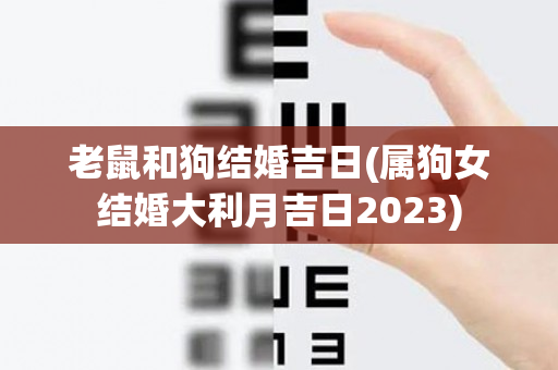 老鼠和狗结婚吉日(属狗女结婚大利月吉日2023)