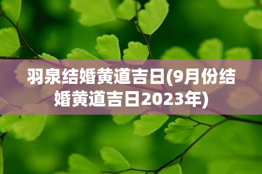 羽泉结婚黄道吉日(9月份结婚黄道吉日2023年)