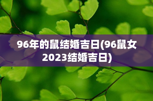 96年的鼠结婚吉日(96鼠女2023结婚吉日)