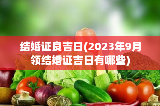 结婚证良吉日(2023年9月领结婚证吉日有哪些)