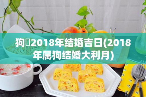 狗兎2018年结婚吉日(2018年属狗结婚大利月)