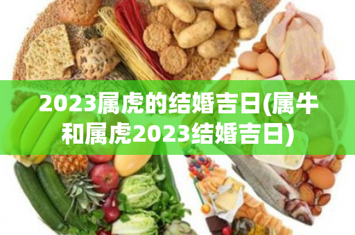 2023属虎的结婚吉日(属牛和属虎2023结婚吉日)