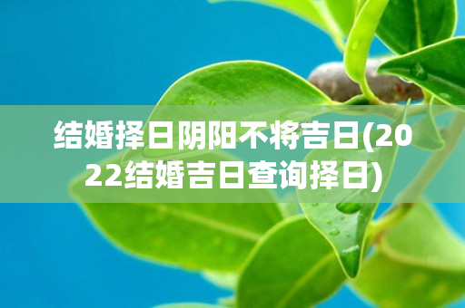 结婚择日阴阳不将吉日(2022结婚吉日查询择日)