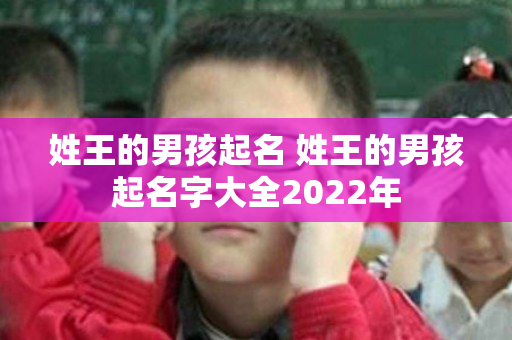 姓王的男孩起名 姓王的男孩起名字大全2022年