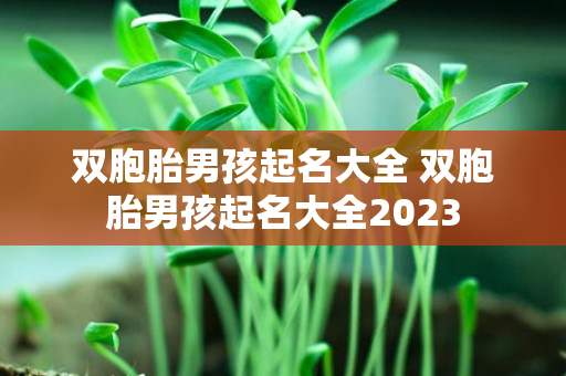 双胞胎男孩起名大全 双胞胎男孩起名大全2023