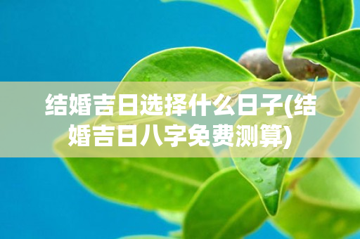 结婚吉日选择什么日子(结婚吉日八字免费测算)