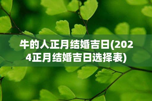 牛的人正月结婚吉日(2024正月结婚吉日选择表)