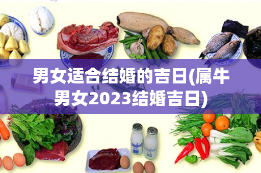 男女适合结婚的吉日(属牛男女2023结婚吉日)
