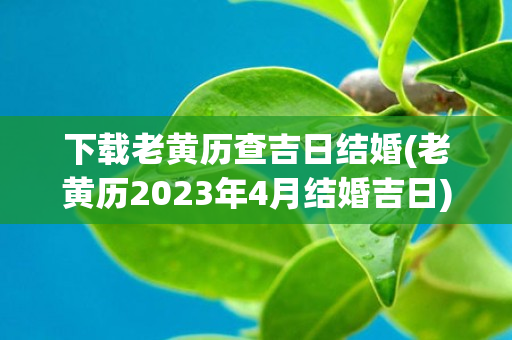 下载老黄历查吉日结婚(老黄历2023年4月结婚吉日)