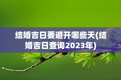 结婚吉日要避开哪些天(结婚吉日查询2023年)