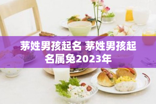 茅姓男孩起名 茅姓男孩起名属兔2023年