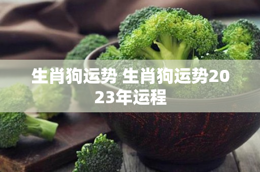 生肖狗运势 生肖狗运势2023年运程