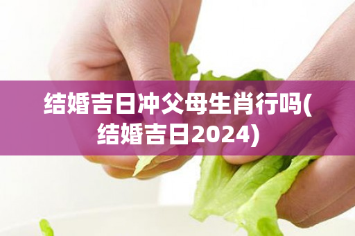 结婚吉日冲父母生肖行吗(结婚吉日2024)