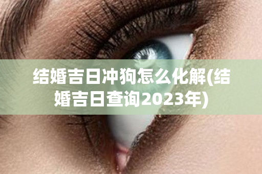 结婚吉日冲狗怎么化解(结婚吉日查询2023年)