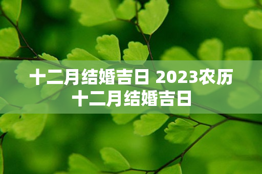 十二月结婚吉日 2023农历十二月结婚吉日