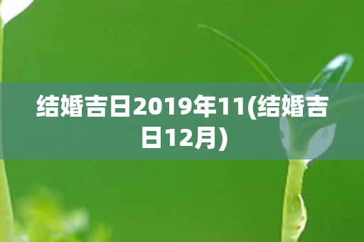 结婚吉日2019年11(结婚吉日12月)