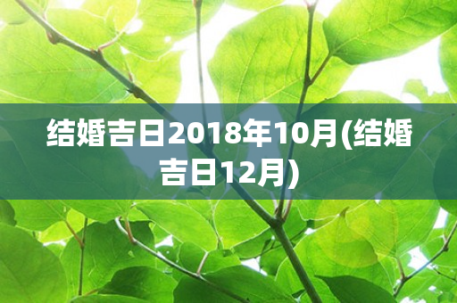 结婚吉日2018年10月(结婚吉日12月)