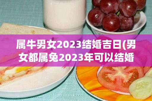 属牛男女2023结婚吉日(男女都属兔2023年可以结婚吗)