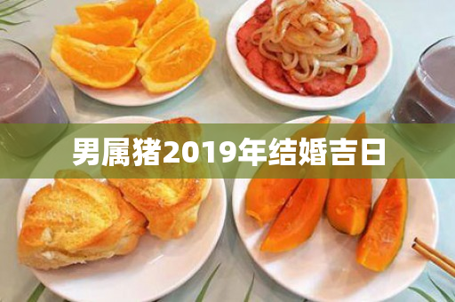 男属猪2019年结婚吉日