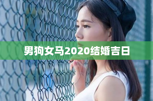 男狗女马2020结婚吉日