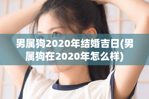 男属狗2020年结婚吉日(男属狗在2020年怎么样)