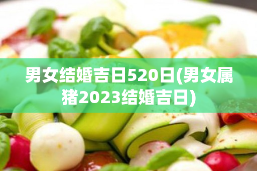 男女结婚吉日520日(男女属猪2023结婚吉日)