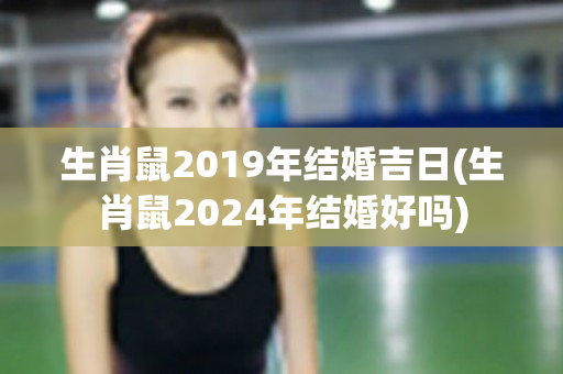 生肖鼠2019年结婚吉日(生肖鼠2024年结婚好吗)