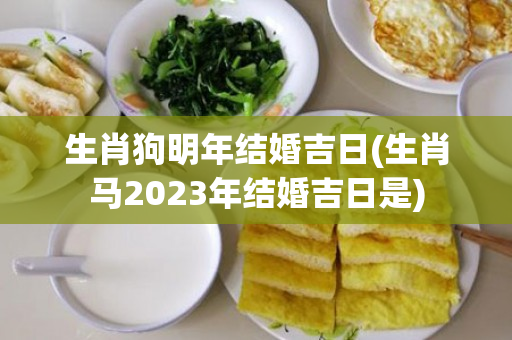 生肖狗明年结婚吉日(生肖马2023年结婚吉日是)