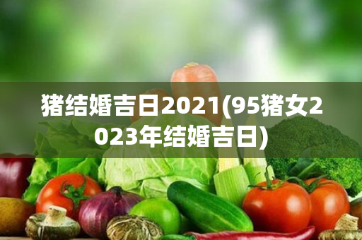 猪结婚吉日2021(95猪女2023年结婚吉日)